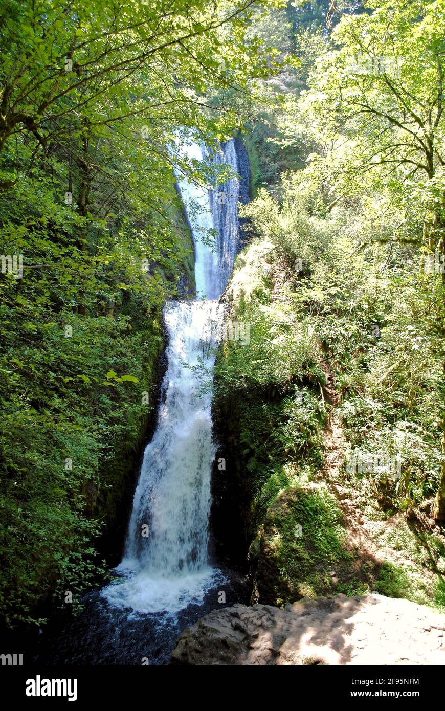 Bridal Veil Falls è una cascata situata sulla Bridal Veil Creek nella Columbia River Gorge nella Contea di Multnomah, Oregon, Stati Uniti. Foto Stock
