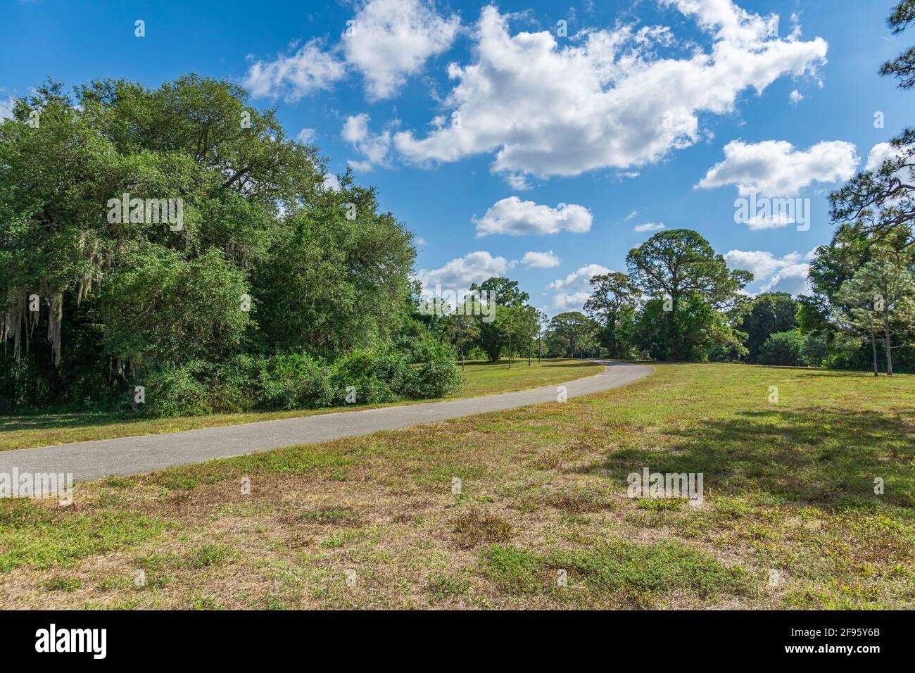 Percorso lastricato che attraversa l'area naturale di Pine Island Ridge - DAVIE, Florida, USA Foto Stock