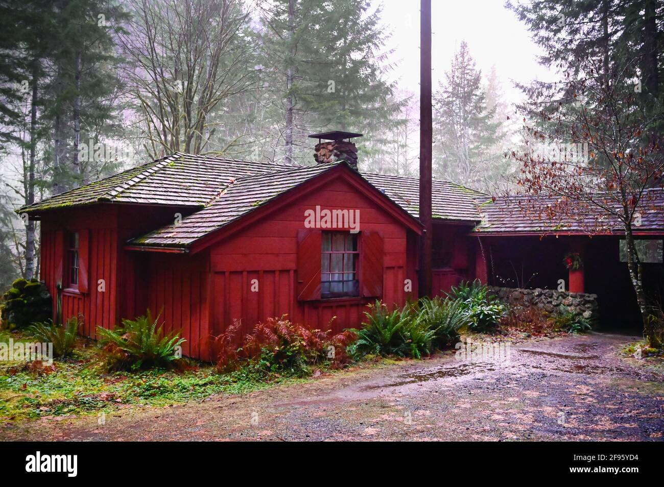 Rustica cabina Rossa nella Foresta Nazionale Foto Stock