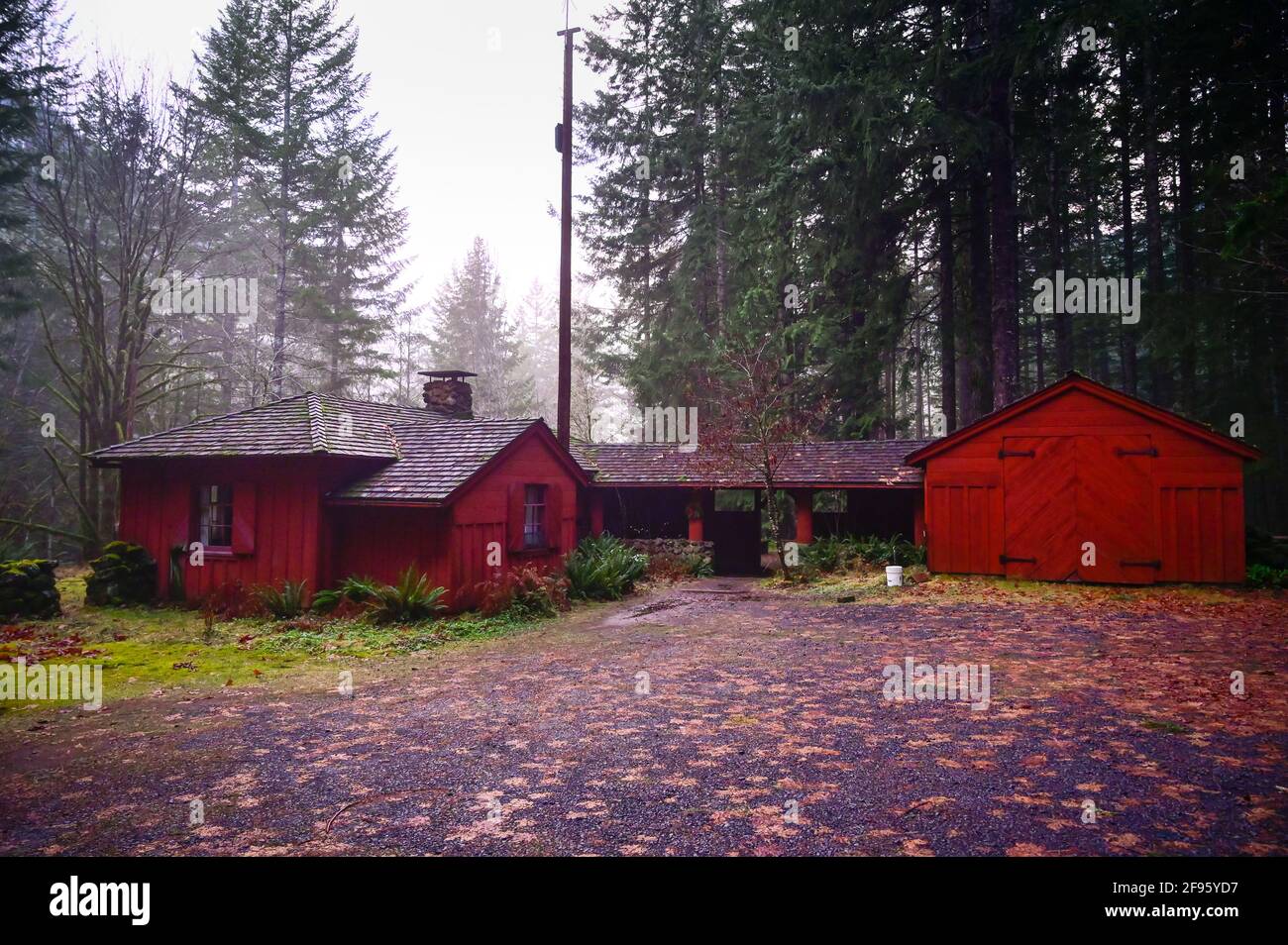Rustica cabina Rossa nella Foresta Nazionale Foto Stock