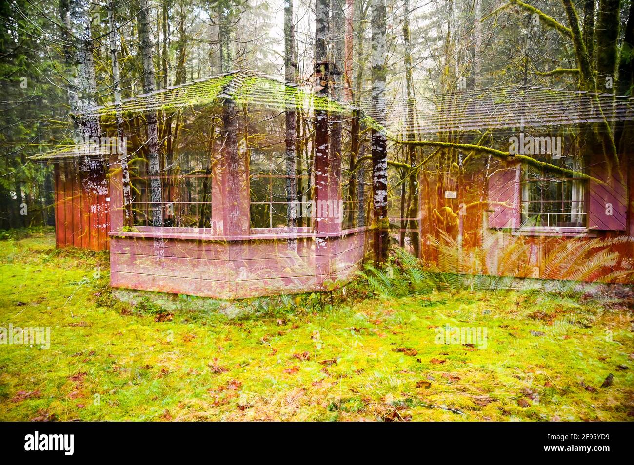 Rustica cabina Rossa nella Foresta Nazionale Doppia esposizione Foto Stock