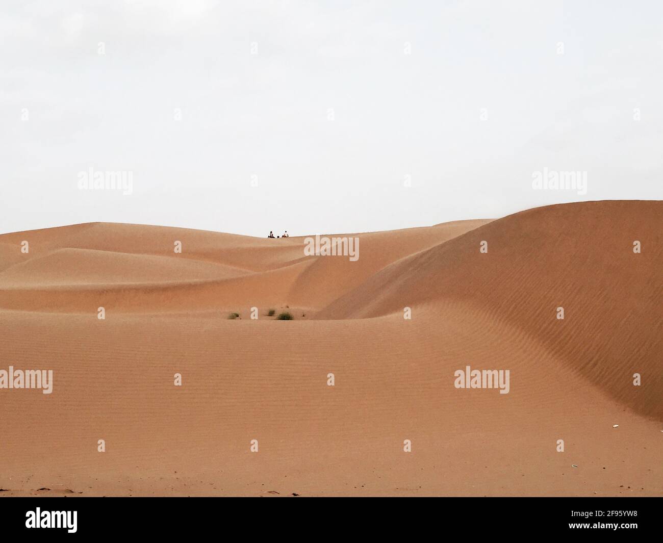 Tranquilla vista del deserto e del paesaggio sabbioso Foto Stock