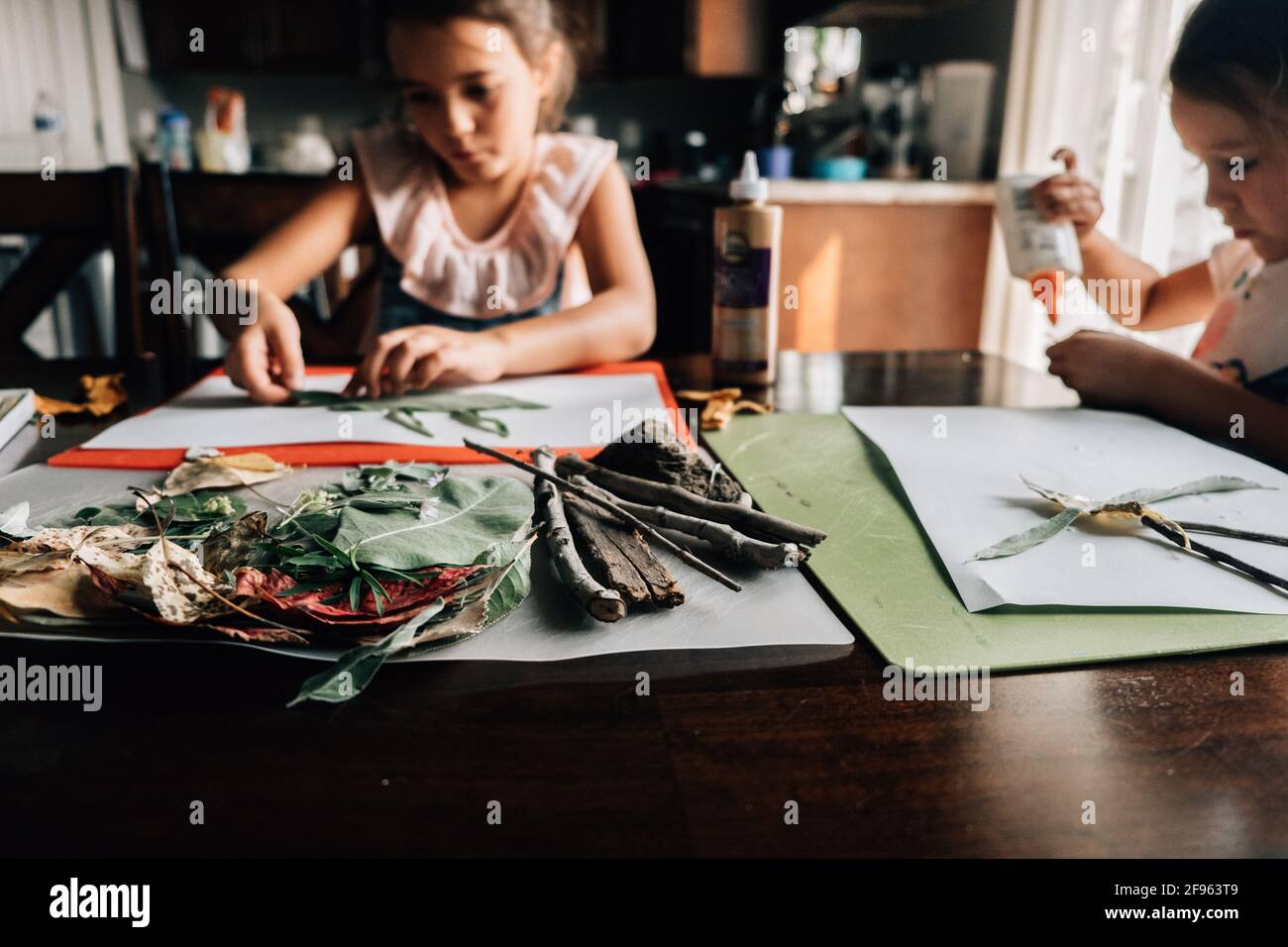 Le ragazze fanno i progetti d'arte dalla natura si ritorce le foglie a homeschool Foto Stock