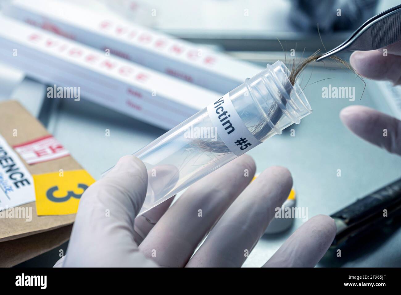 Laboratorio Criminalistic, analisi del capello, immagine concettuale Foto Stock