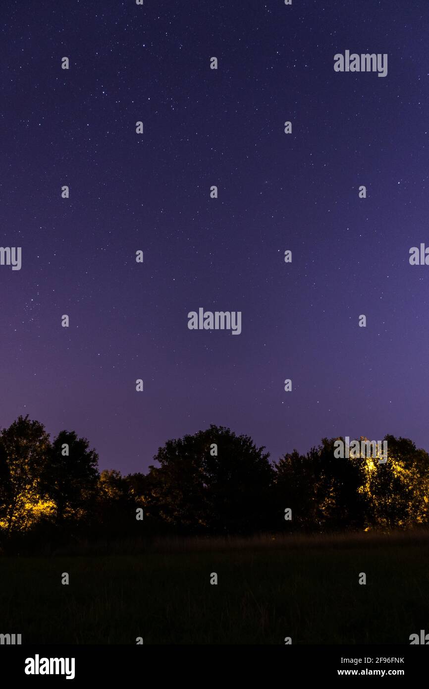 Cielo stellato viola nel parco inglese Foto Stock
