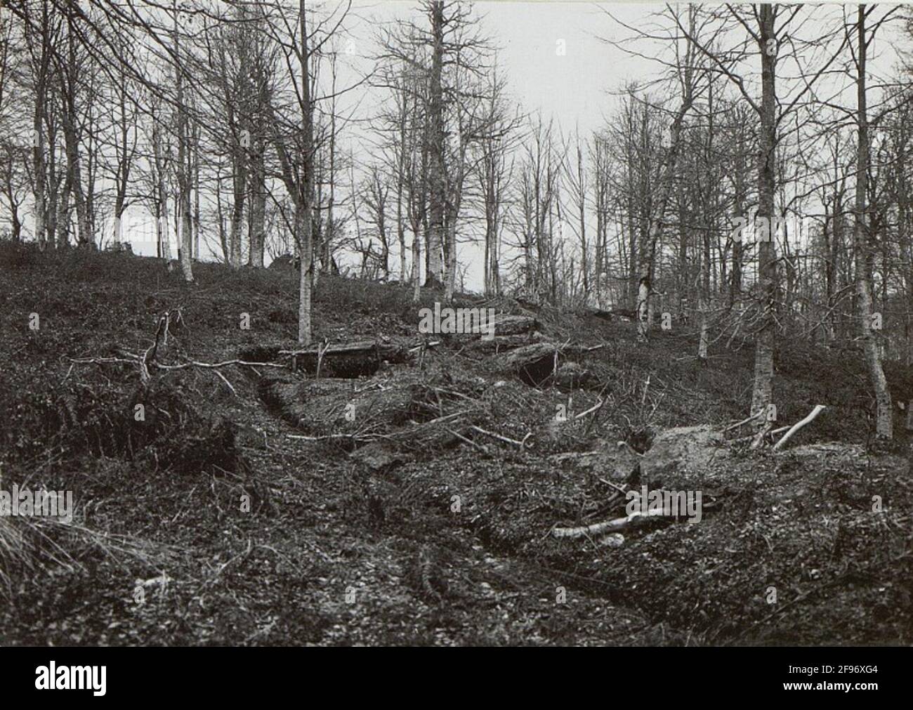 War album 108, foto 33241. Foto Stock