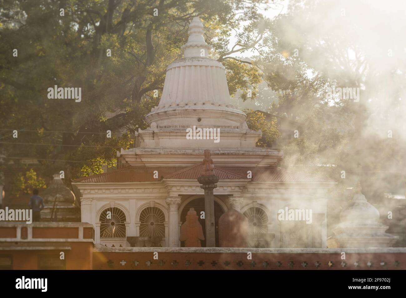 Pashupatinath Foto Stock