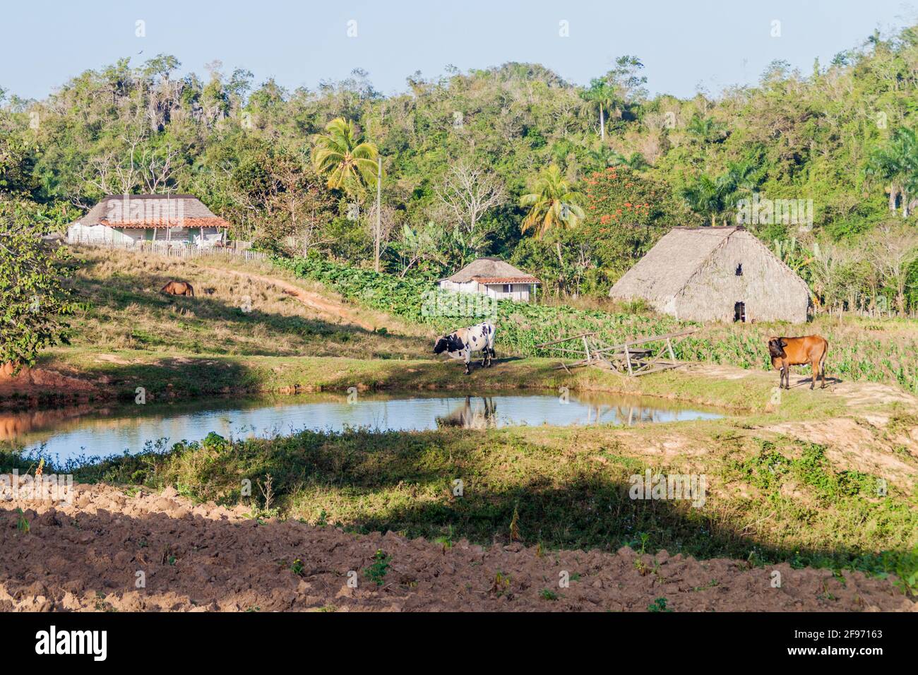 Insediamento rurale nei pressi di Vinales, Cuba Foto Stock