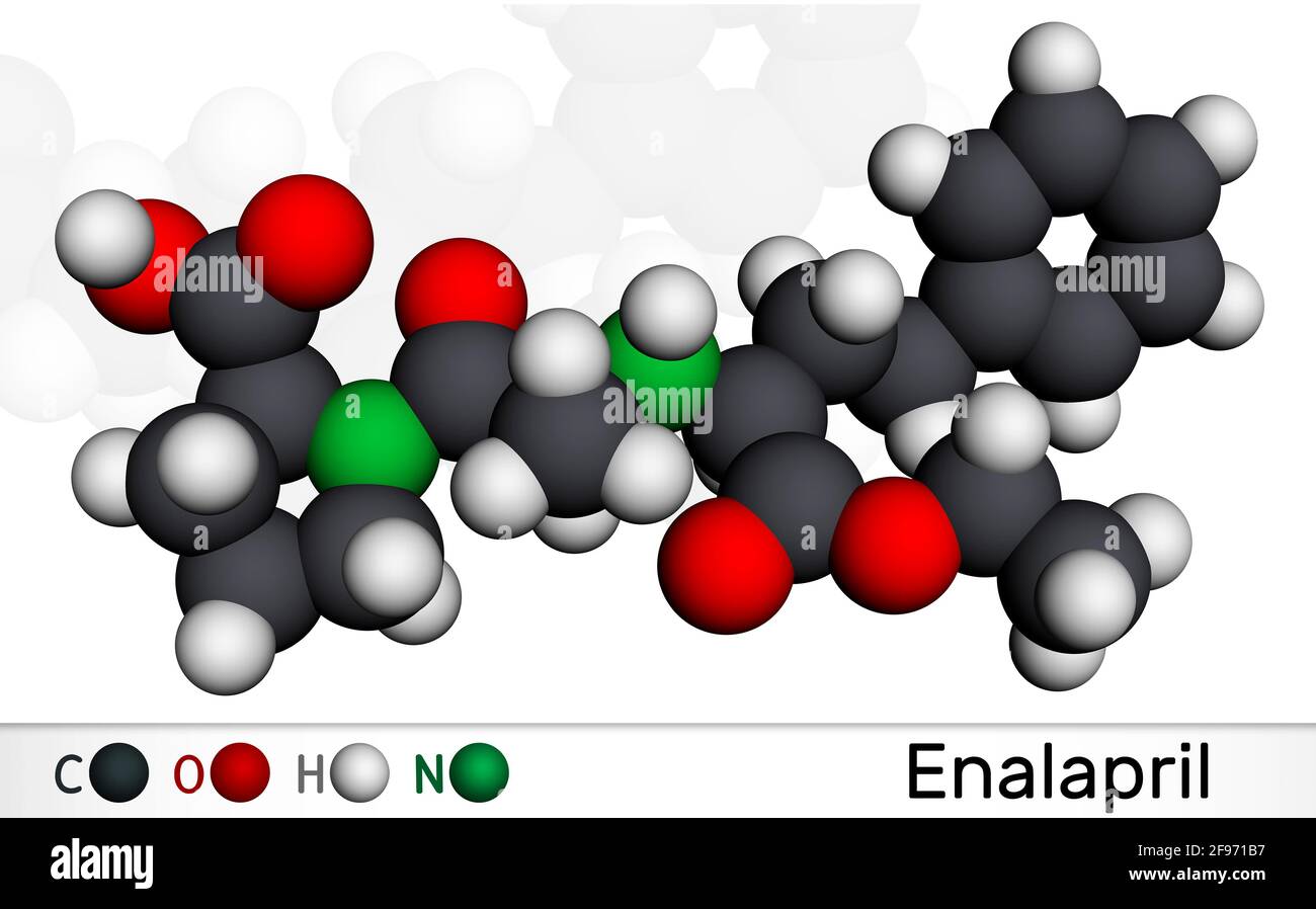 Enalapril, molecola. È farmaco di inibitore di ACE per trattare la pressione alta, l'insufficienza cardiaca. Modello molecolare. Rendering 3D. Illustrazione 3D Foto Stock
