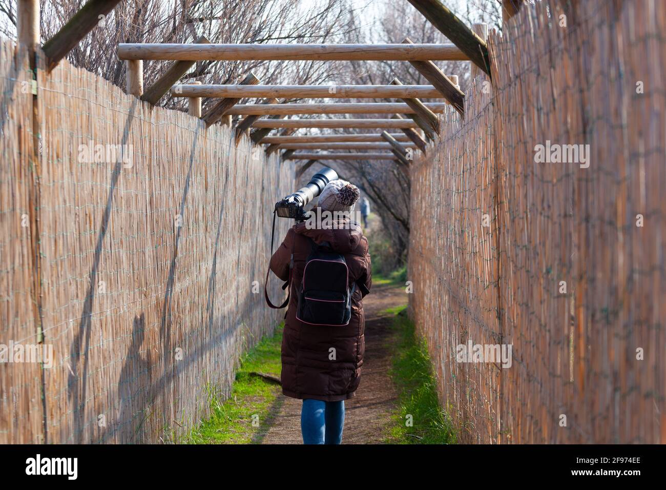 Il fotografo di uccelli camminando in un sentiero e di ritorno a. la casa Foto Stock