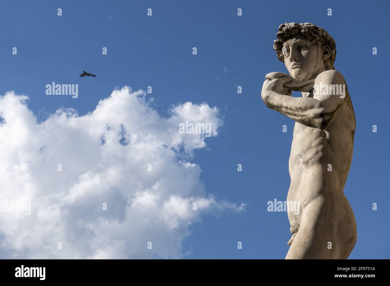 Foto a basso angolo della statua del David di Michelangelo su A. bella giornata Foto Stock