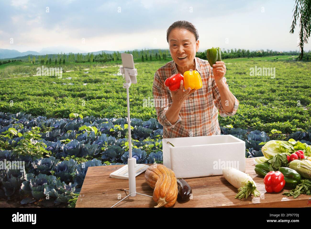 Coltivatori vivono la consegna in linea dei prodotti agricoli Foto Stock