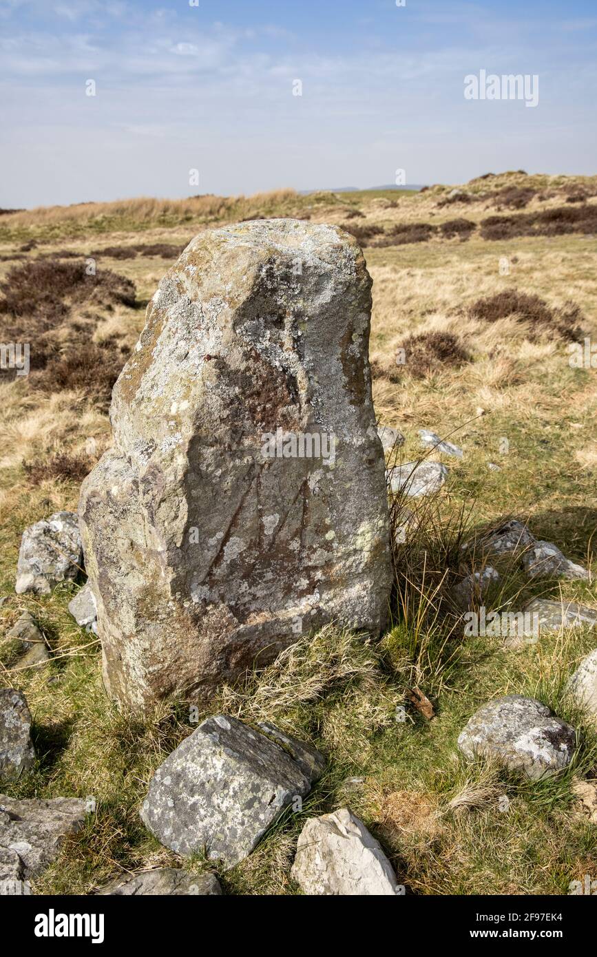 Brecon e Monmouth Boundary Stone, Pwll Du, Galles, Regno Unito, questo lato mostra la M per il Monboccuthshire Foto Stock