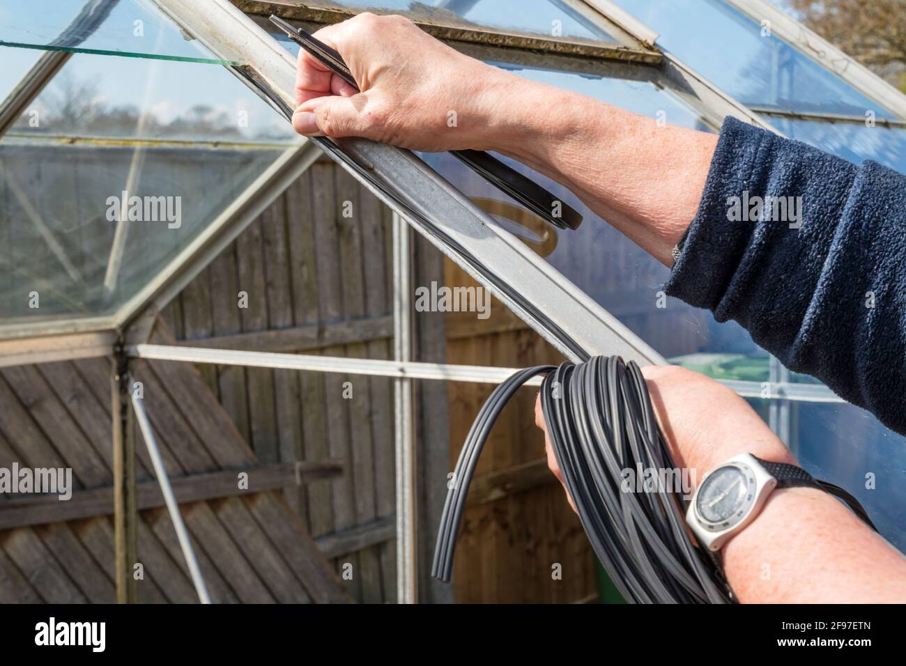 Metodo di fissaggio della nuova striscia di vetratura in gomma in una serra con cornice metallica. Foto Stock