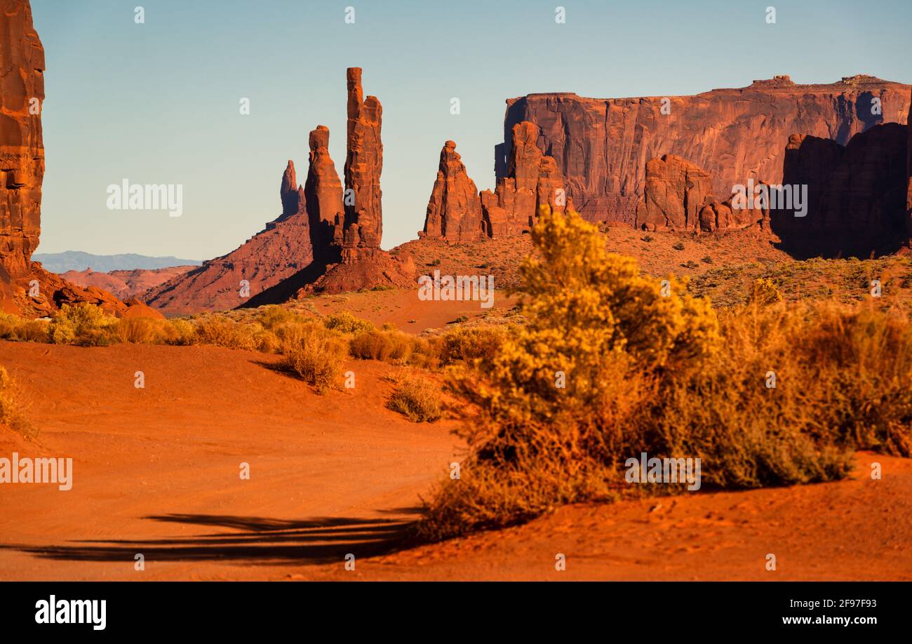 Navajo National Monument, riserva indiana Navajo, Utah, Arizona, Stati Uniti, America Foto Stock
