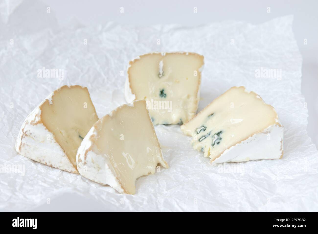 pezzi di camembert o brie isolati su sfondo bianco, formaggio morbido coperto con muffa bianca commestibile, formaggio blu gourmet, fette di formaggio su Foto Stock
