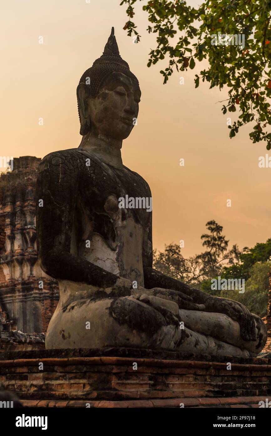 Thailandia, Ayutthaya, statua nel tempio di Wat Mahathat Foto Stock