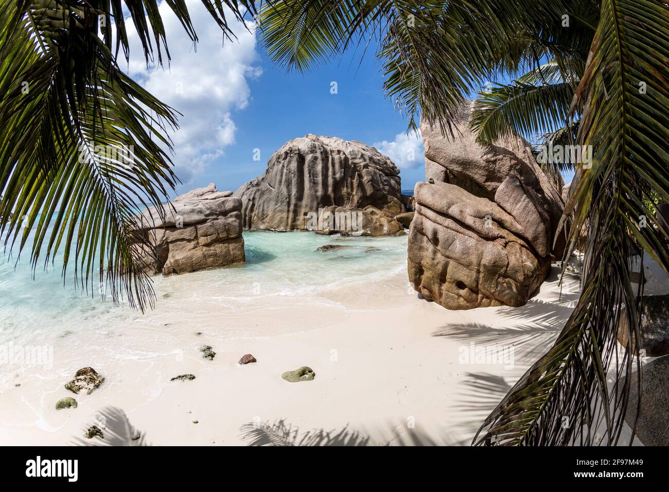 Scena tipica delle Seychelles: Acqua turqoise cristallina, sabbia bianca, Palme - tutto sembra un sogno Foto Stock