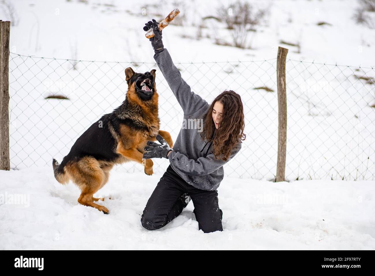 Giovane bruna ragazza che gioca con il suo cane Pastore tedesco. Periodo invernale Foto Stock