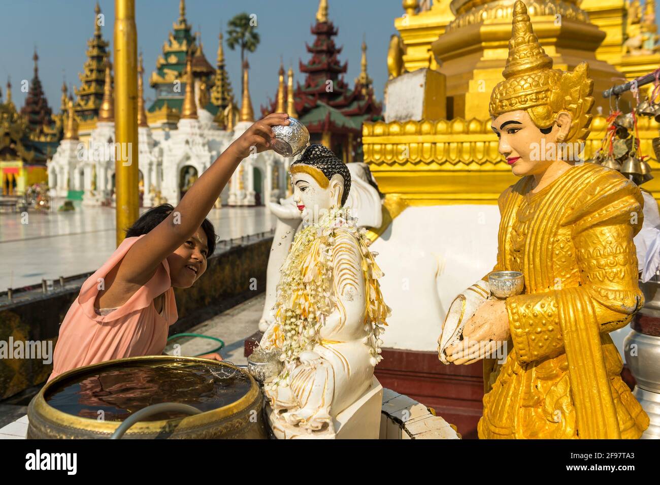 Myanmar, Yangon, la pagoda di Shwedagon, ragazze, rituale Foto Stock
