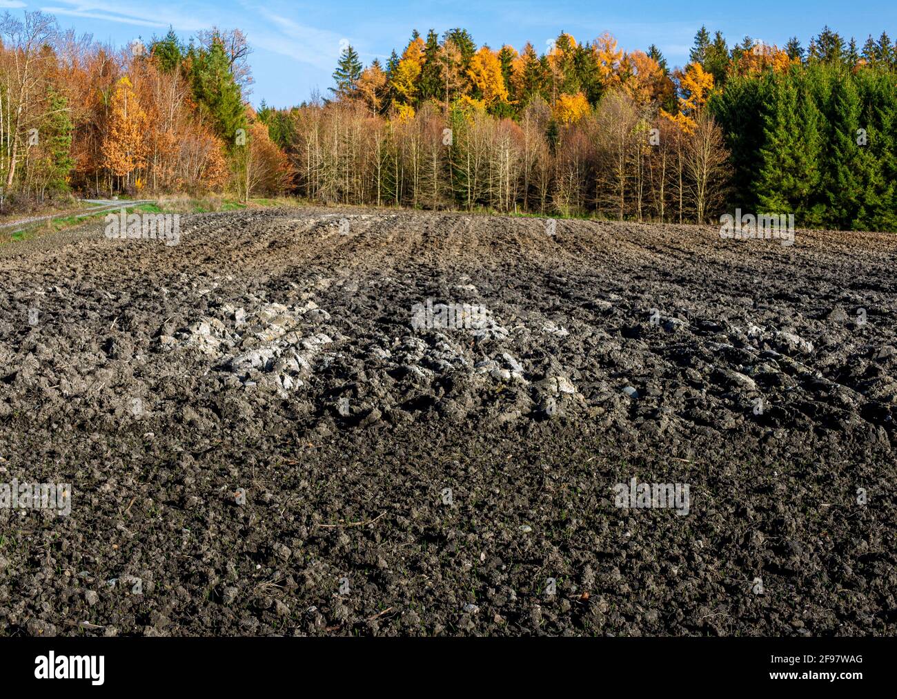 Campo fresco arato in autunno, Baviera, Germania, Europa Foto Stock