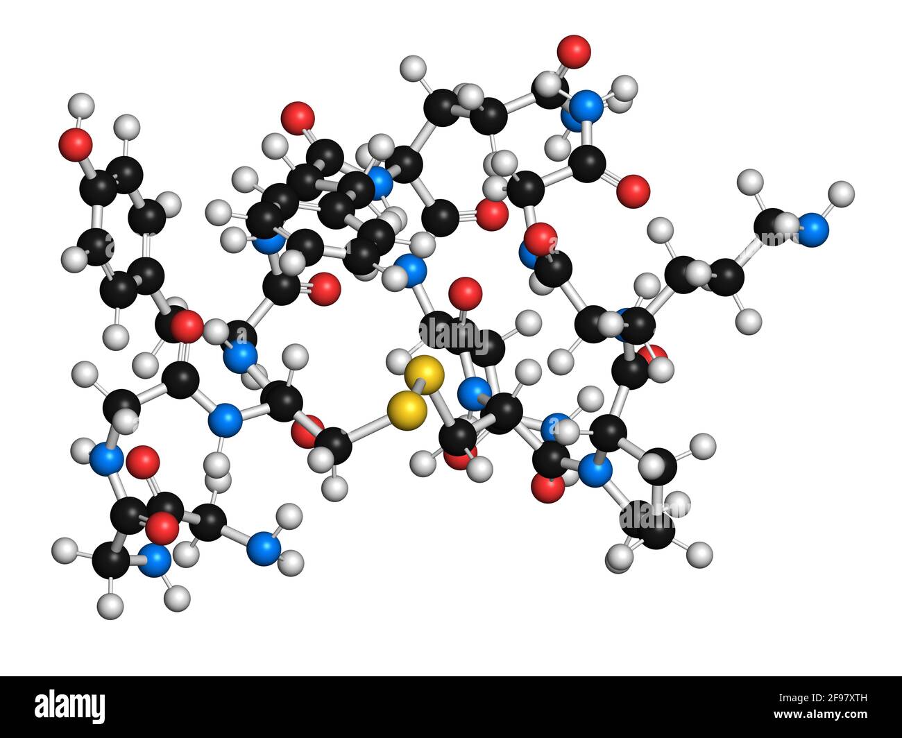 Molecola di farmaco terlipressina, illustrazione Foto Stock