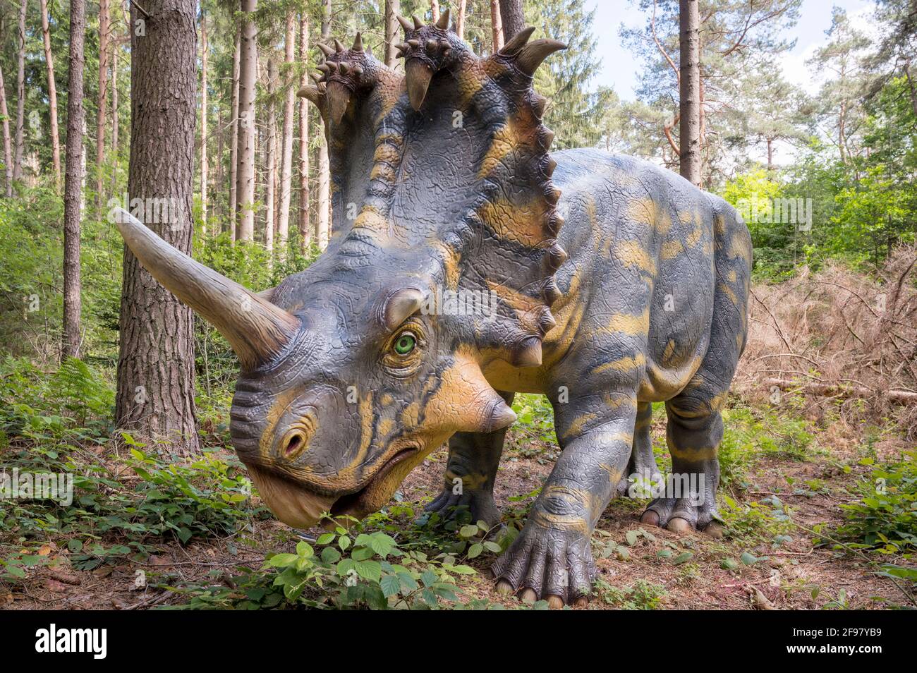 Dinosauro Centrosaurus (simile ai Triceratops) come modello nel Dinopark  Münchehagen vicino Hannover. Vissuto circa 76 milioni di anni fa (Cretaceo)  in Nord America, era circa 6m lungo e 2.7t in peso Foto