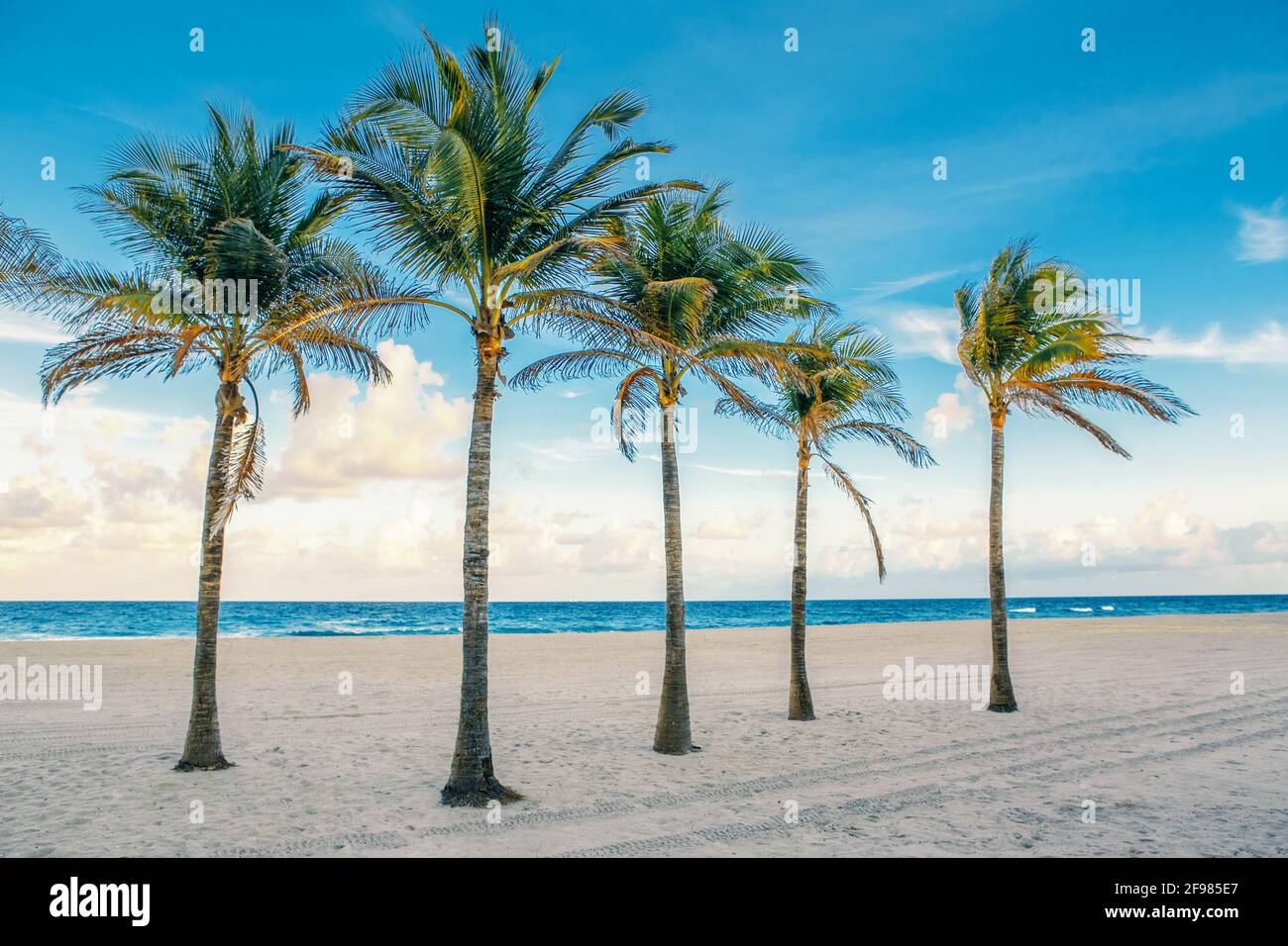 Florida paesaggio spiaggia vuoto con cinque palme e oceano al tramonto Foto Stock