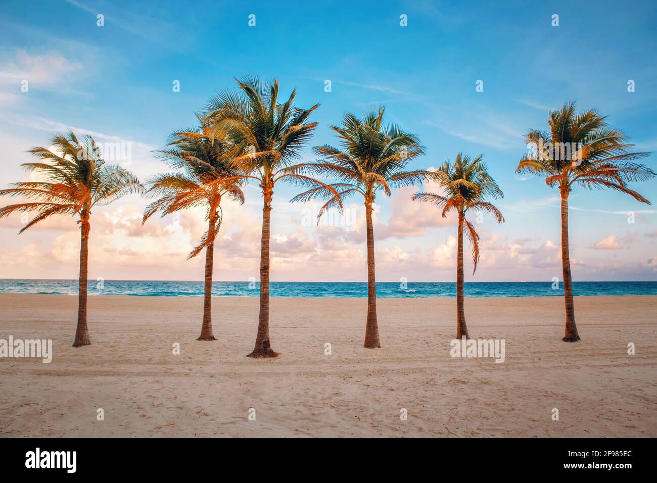 Florida paesaggio spiaggia vuoto con sei palme e oceano al tramonto. Foto Stock