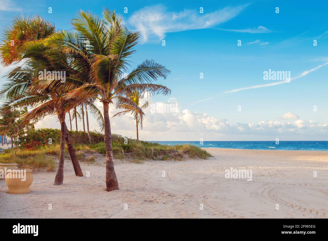 Florida paesaggio spiaggia vuoto con palme e oceano al tramonto. Foto Stock