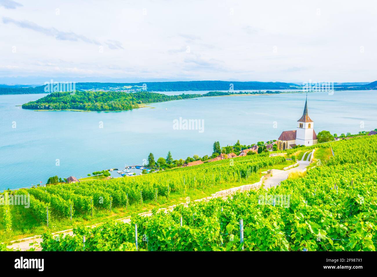 Chiesa di Ligerz in mezzo ai vigneti di Bielersee, Svizzera Foto Stock