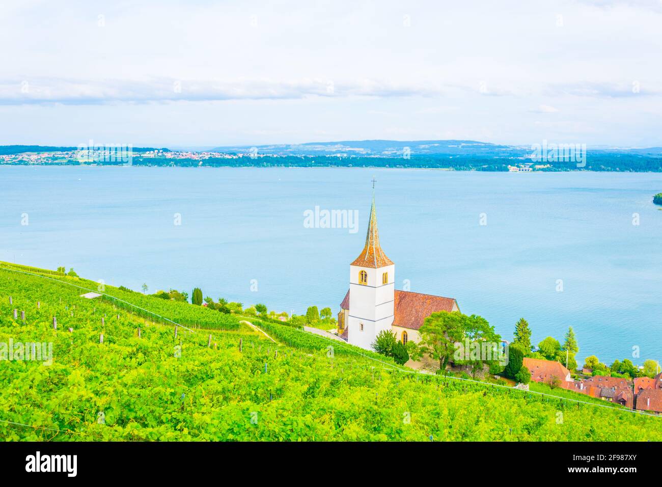 Chiesa di Ligerz in mezzo ai vigneti di Bielersee, Svizzera Foto Stock