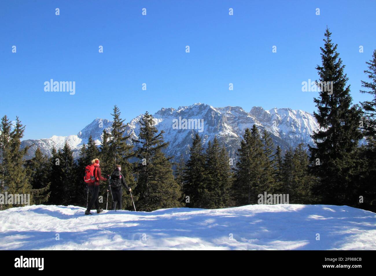 Escursione invernale 2 donne al Grünkopf vicino Mittenwald, Europa, Germania, Baviera, alta Baviera, Isar Valley, Karwendel Mountains, Foto Stock