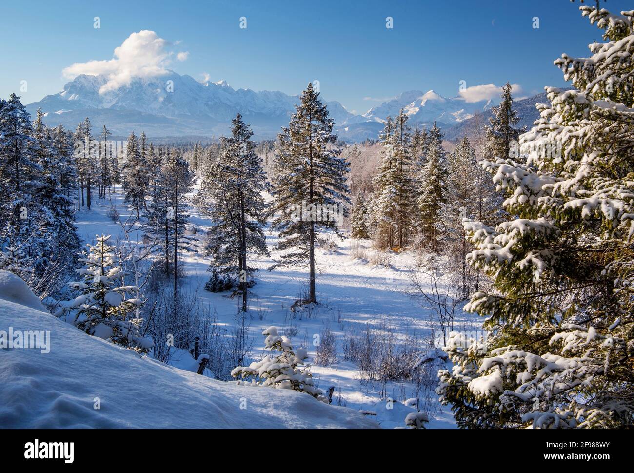 Paesaggio invernale nella valle dell'Isar contro i Monti Wetterstein, Wallgau, Werdenfelser Land, alta Baviera, Baviera, Germania Foto Stock