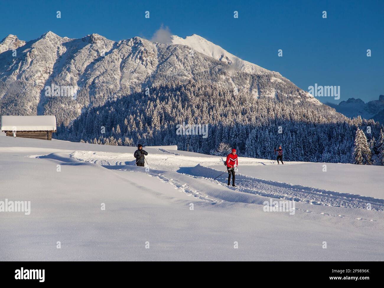 Pista da sci di fondo nella frazione di Gerold con Soierngruppe, Krün, Werdenfelser Land, alta Baviera, Baviera, Germania Foto Stock