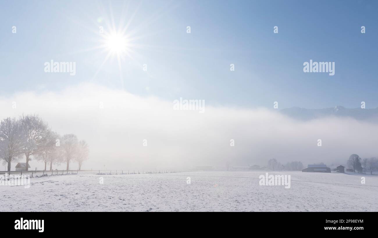 Una magica mattinata invernale a Schlehdorf am Kochelsee, in Baviera, con brina, sole, nebbia e neve fresca. Foto Stock