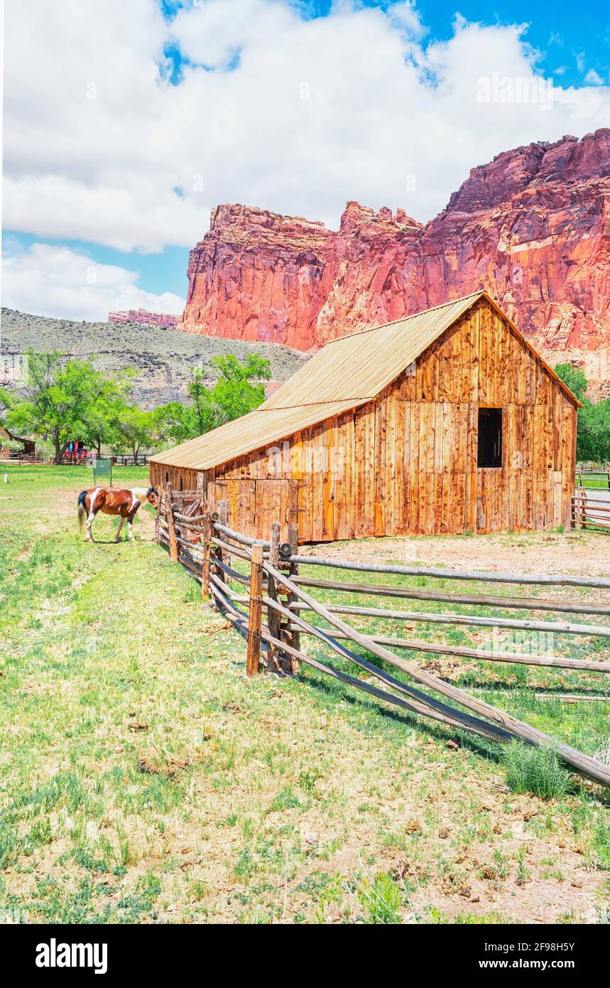 Gifford agriturismo, Capitol Reef National Park nello Utah, USA, America del Nord Foto Stock