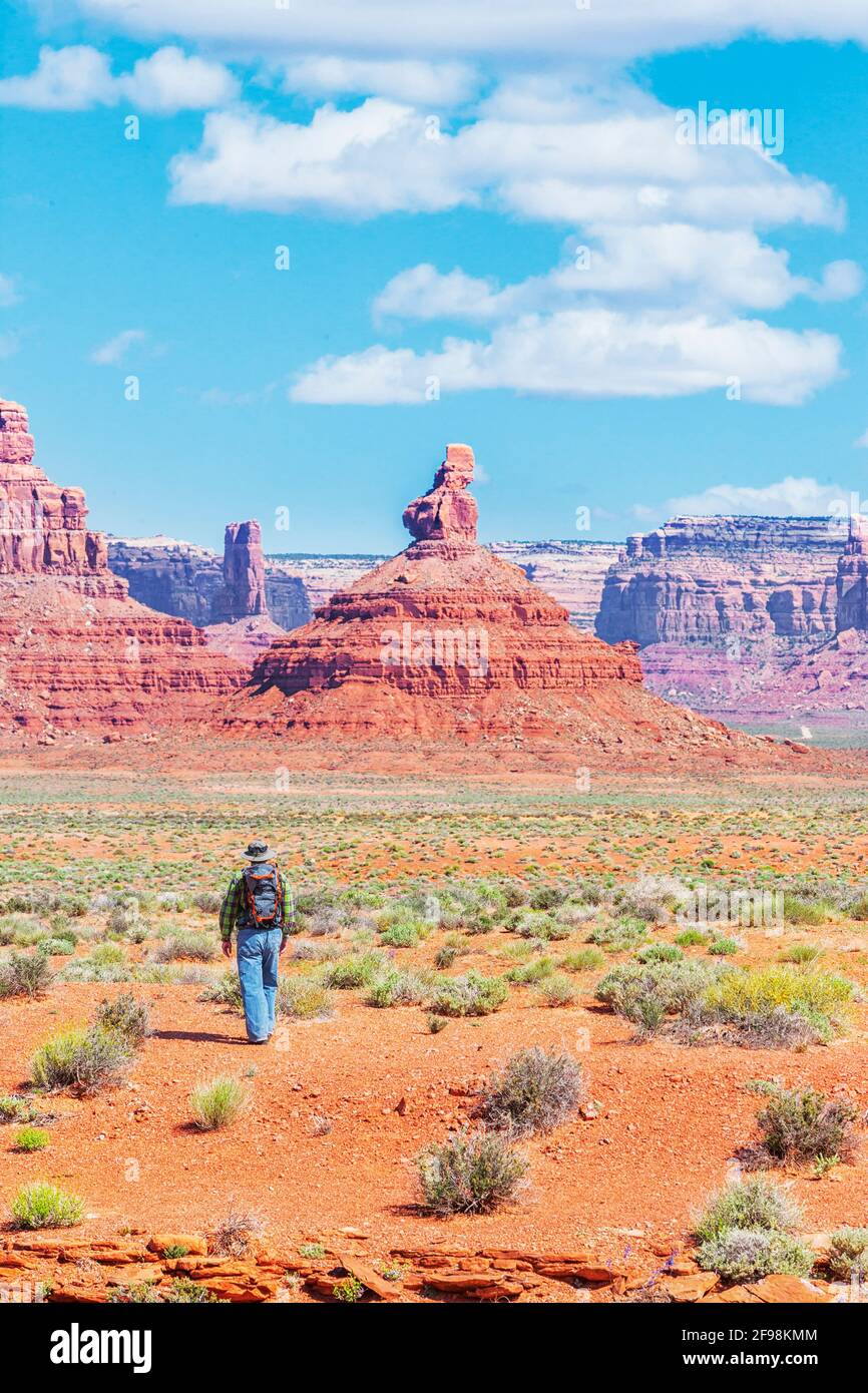 Uomo che cammina nel deserto, Valle degli dei, Utah, USA, Nord America Foto Stock
