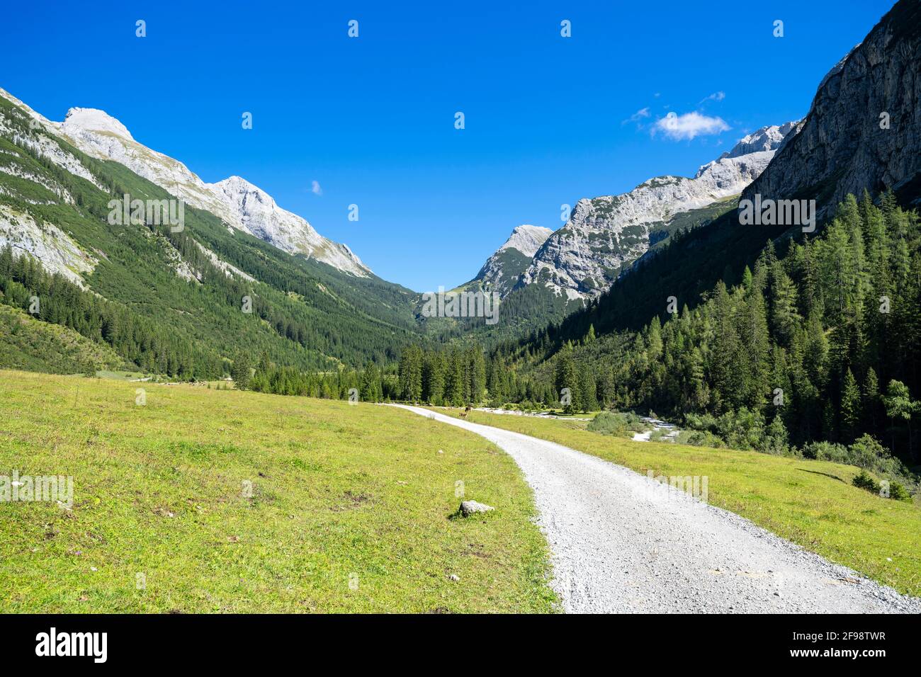 Paesaggio alpino montano nella valle del Karwendel in una soleggiata giornata estiva. Karwendel, Tirolo, Austria Foto Stock