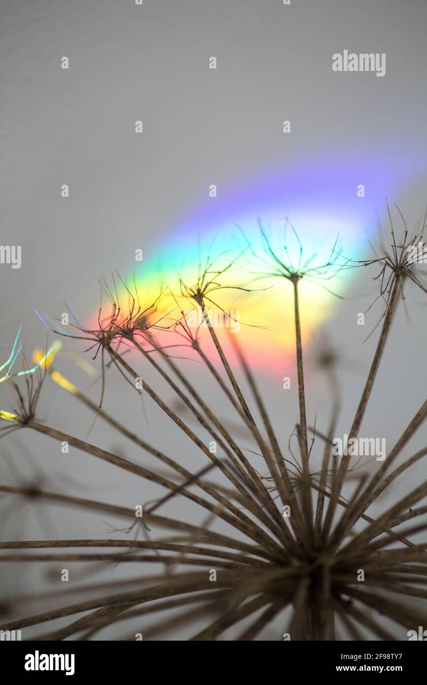 Arcobaleno e arcobaleno Foto Stock