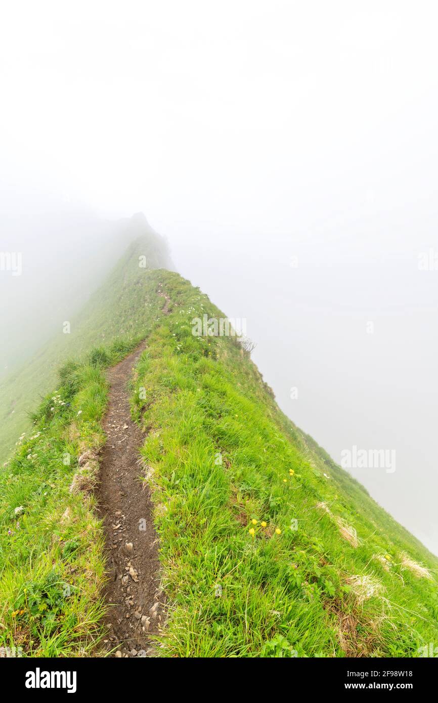 La stretta cresta erbosa di montagna scompare nella nebbia fitta. Alpi di Allgäu, Baviera, Germania Foto Stock