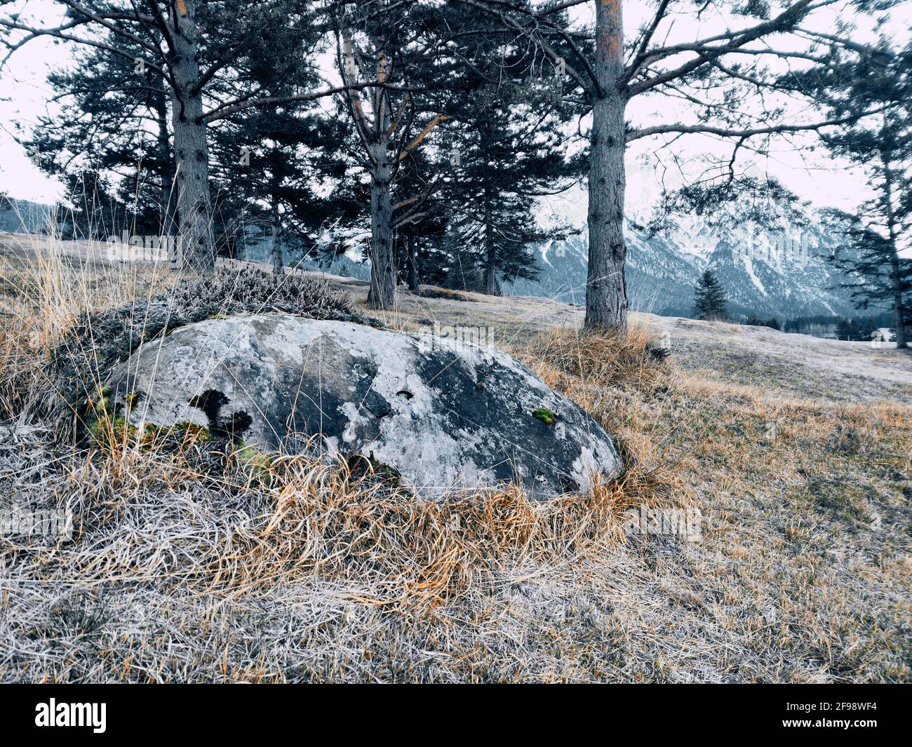 Boulder sui prati umpback, una reliquia dell'era glaciale del Worm Foto Stock