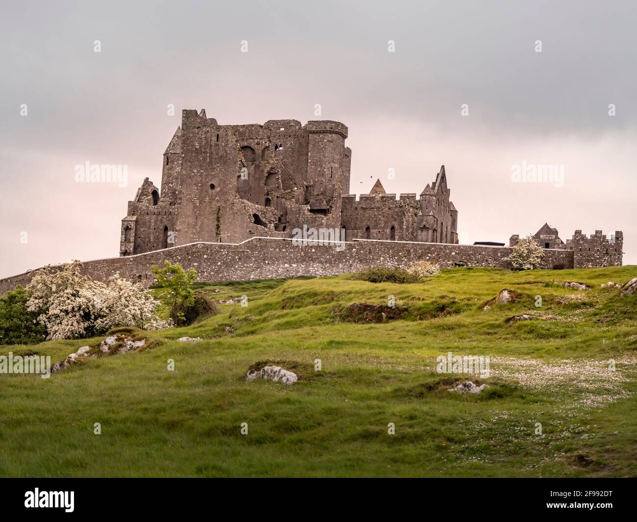 Famosa Rocca di Cashel in Irlanda - Fotografia di viaggio Foto Stock