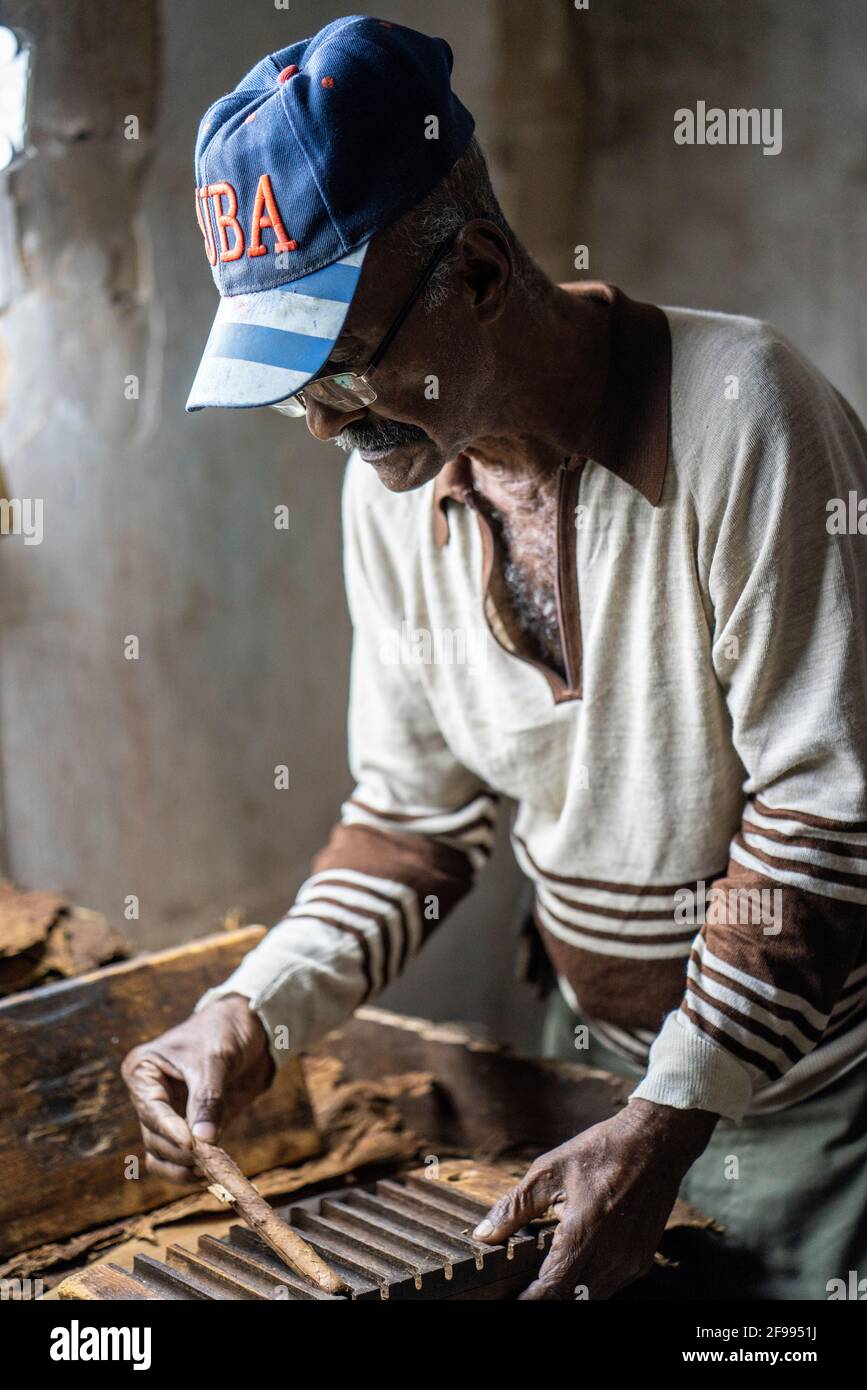 Fabbrica di sigari a San Antonio de los Baños, provincia di Artemisa, Cuba Foto Stock