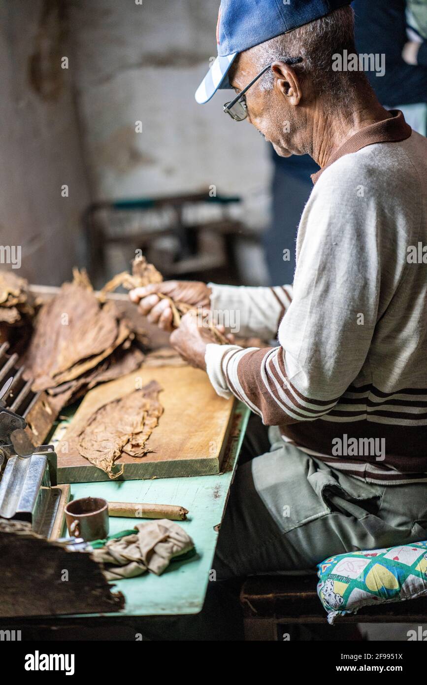 Fabbrica di sigari a San Antonio de los Baños, provincia di Artemisa, Cuba Foto Stock