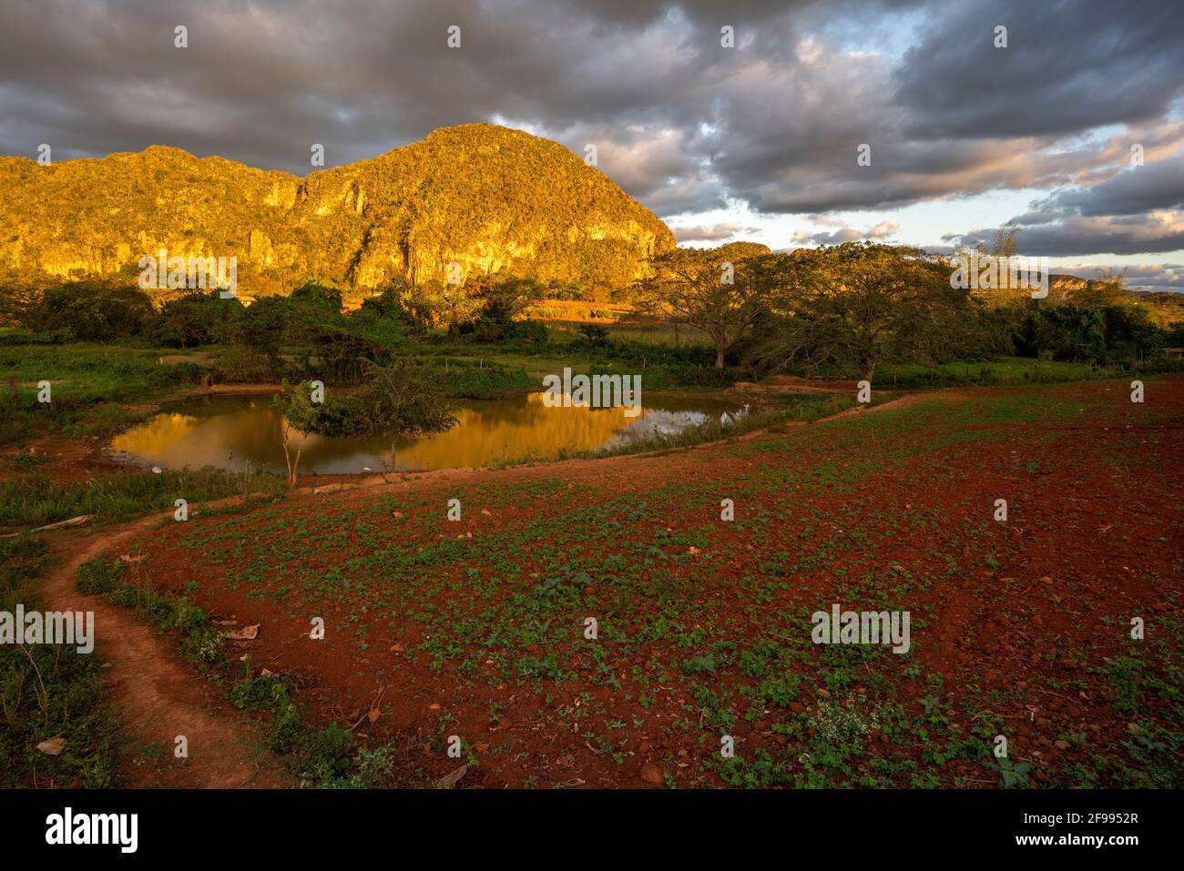 Viñales, Provincia di Pinar del Río, Cuba Foto Stock