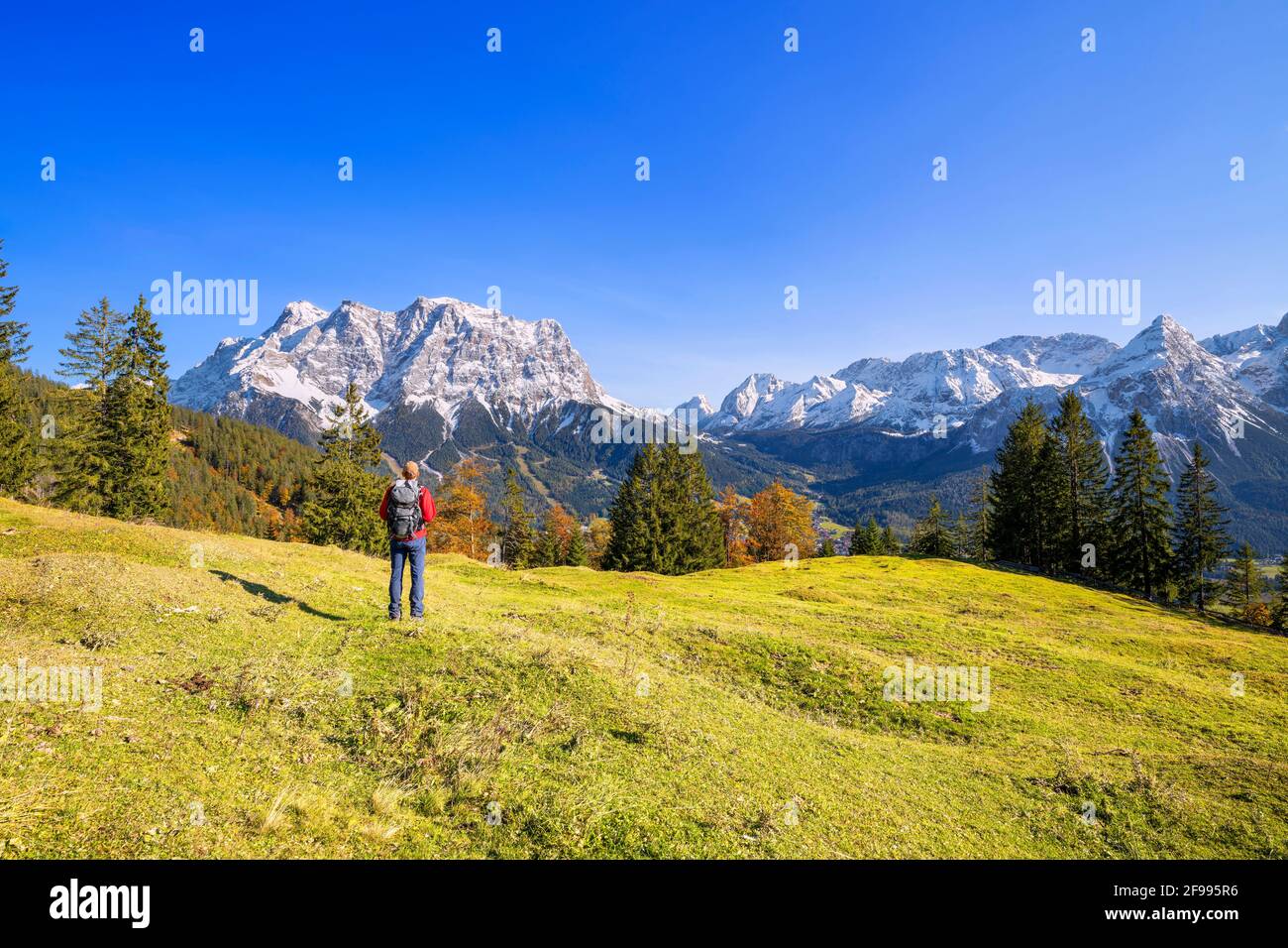 Gli escursionisti possono godersi il paesaggio alpino di montagna sopra il bacino di Ehrwald con le Zugspitze e la catena dei Mieming in una giornata di autunno luminosa e soleggiata. Ehrwald, Tirolo, Austria, Europa Foto Stock