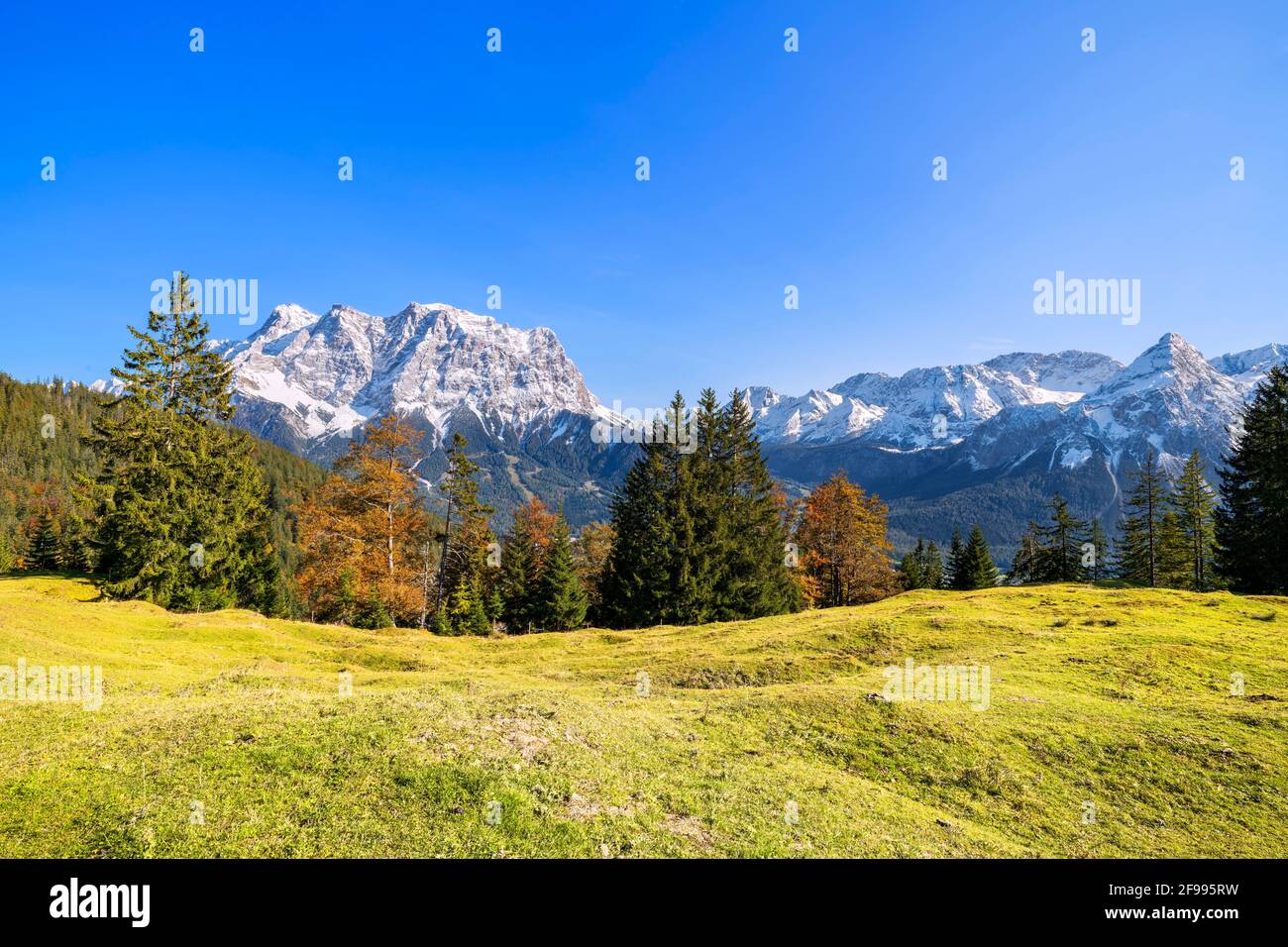 Paesaggio alpino di montagna sopra il bacino di Ehrwald con la Zugspitze e la catena del Mieming in una giornata d'autunno luminosa e soleggiata. Ehrwald, Tirolo, Austria Foto Stock