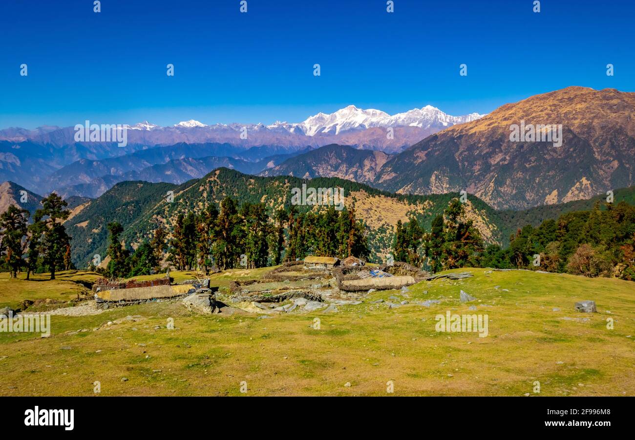Splendido paesaggio di prati alpini e vette glaciate nel santuario della fauna selvatica di Kedarnath. Sentiero da Chopta a Tungnath santuario offre questo tipo di mesme Foto Stock