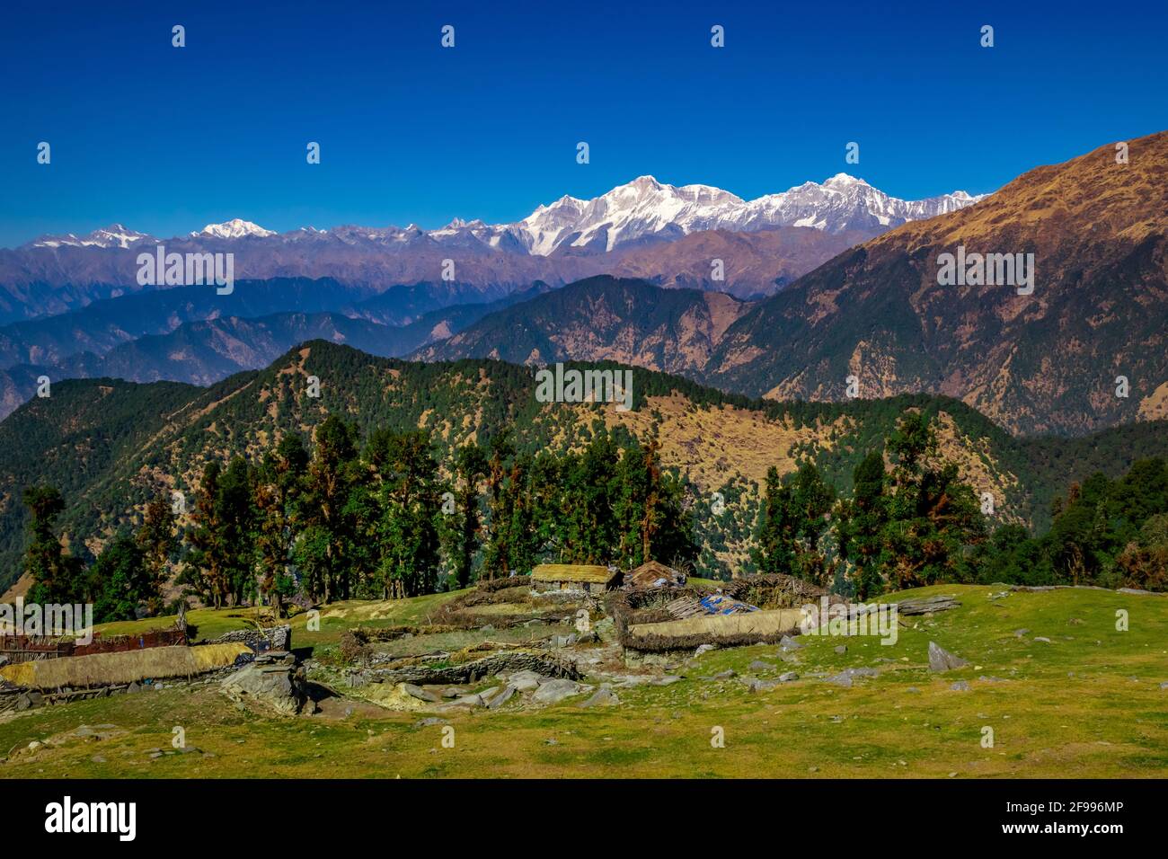 Splendido paesaggio di prati alpini e vette glaciate nel santuario della fauna selvatica di Kedarnath. Sentiero da Chopta a Tungnath santuario offre questo tipo di mesme Foto Stock
